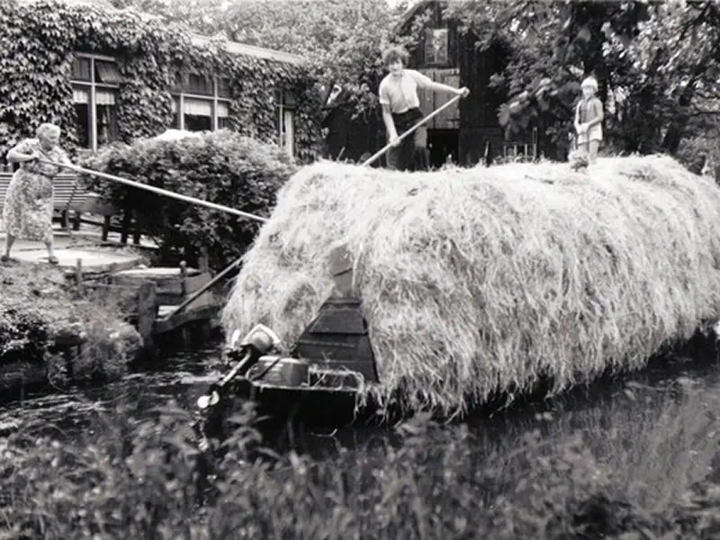 Sloot tussen Binnenpad 137 en 139.