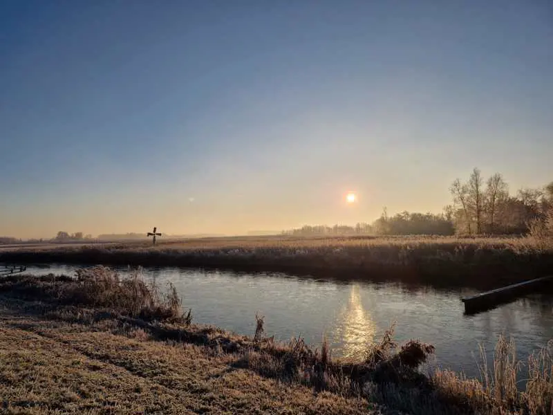 Riet landschap.