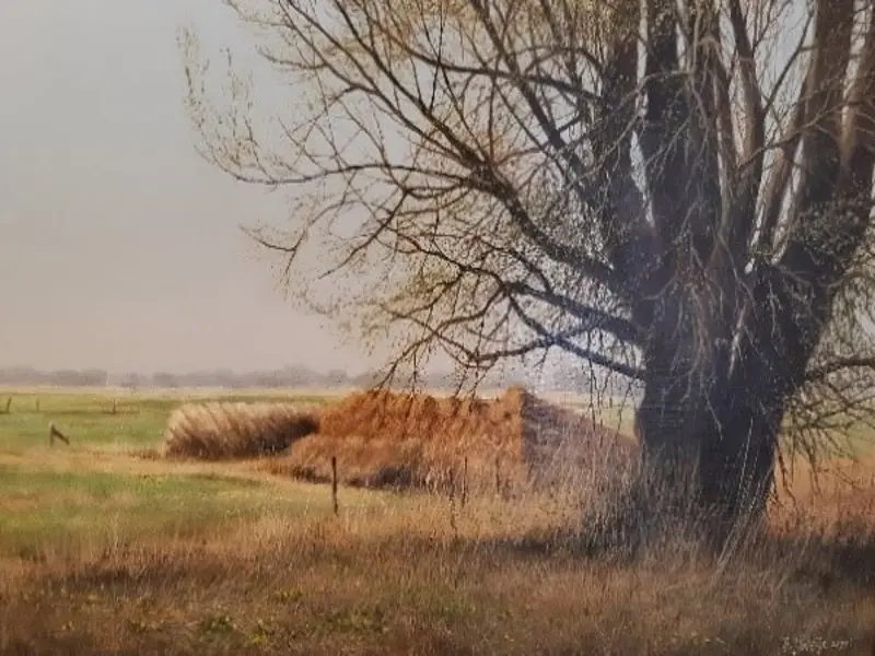 Riet klaar voor vervoer - schilderij Frederik Weijs.